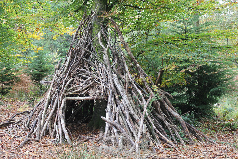 How to build a shelter with natural resources
