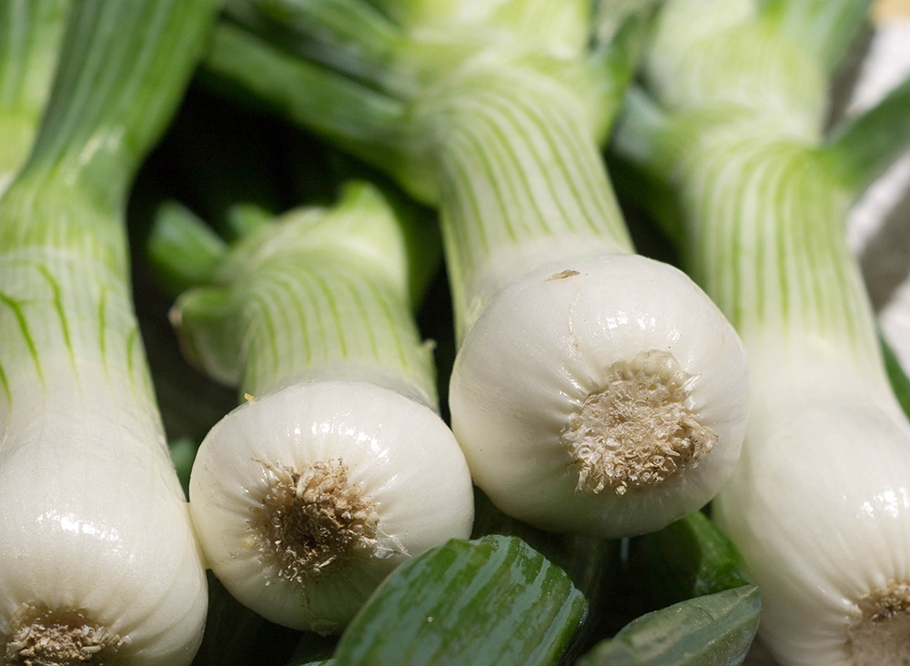 Légumes à croissance la plus rapide