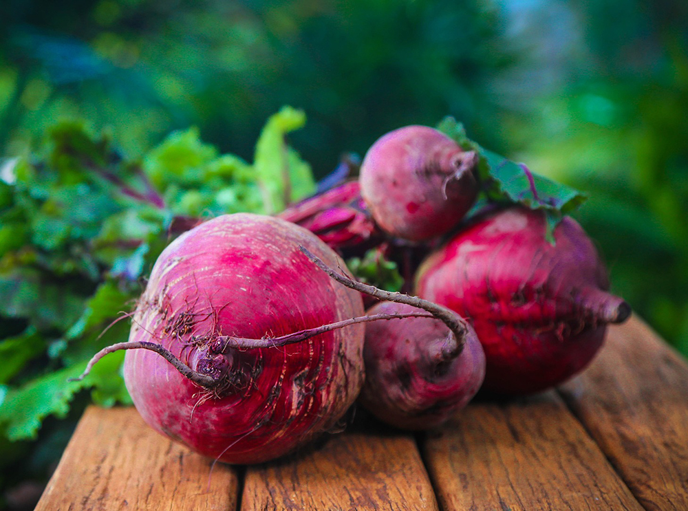 Growing beets in the garden