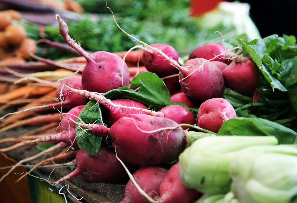 Légumes à croissance la plus rapide