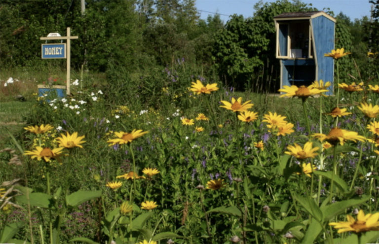 roadside honey stand