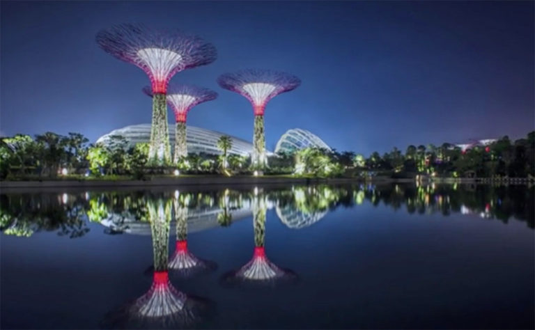 solar supertrees