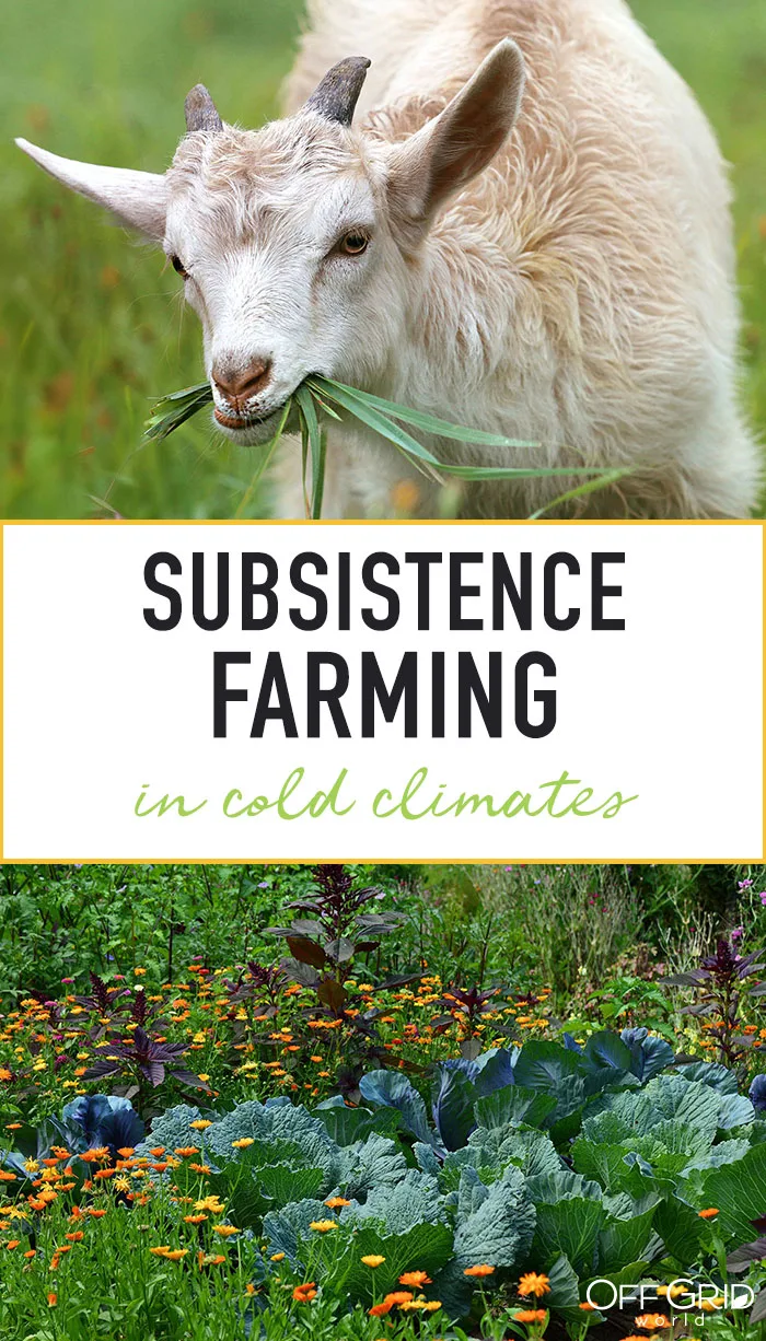 Subsistence farming