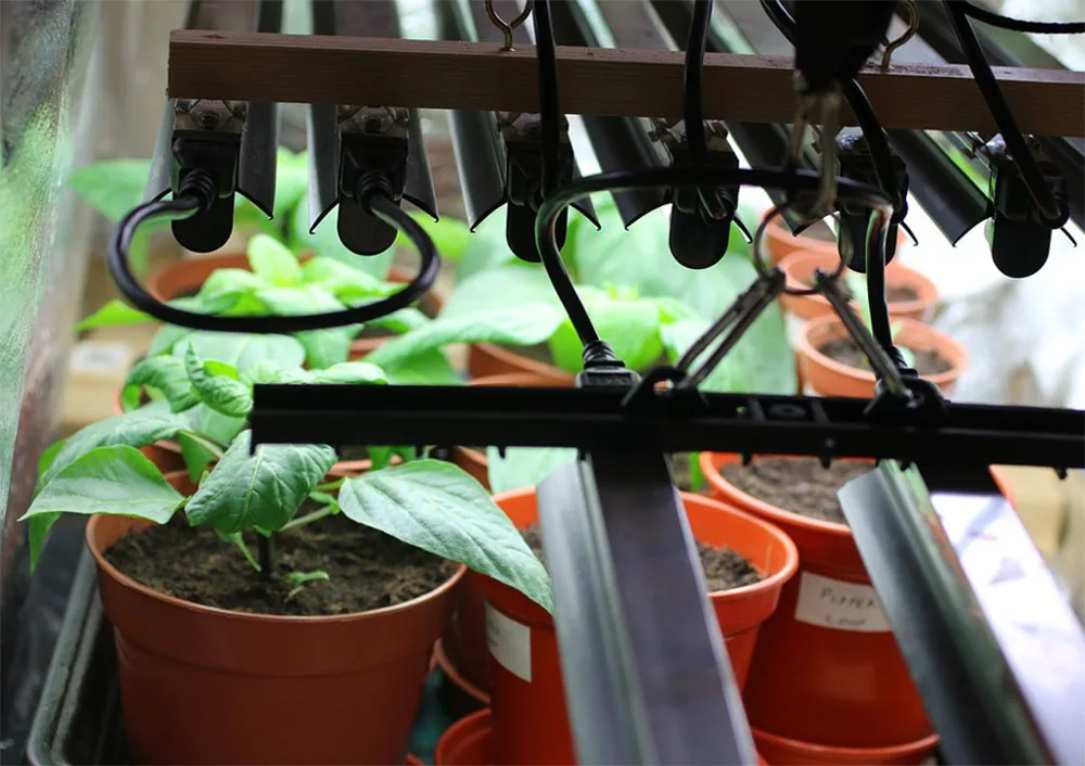 Indoor gardening