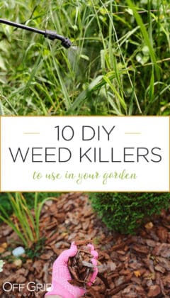 10 Non-Toxic DIY Weed Killers To Use In Your Garden - Off Grid World