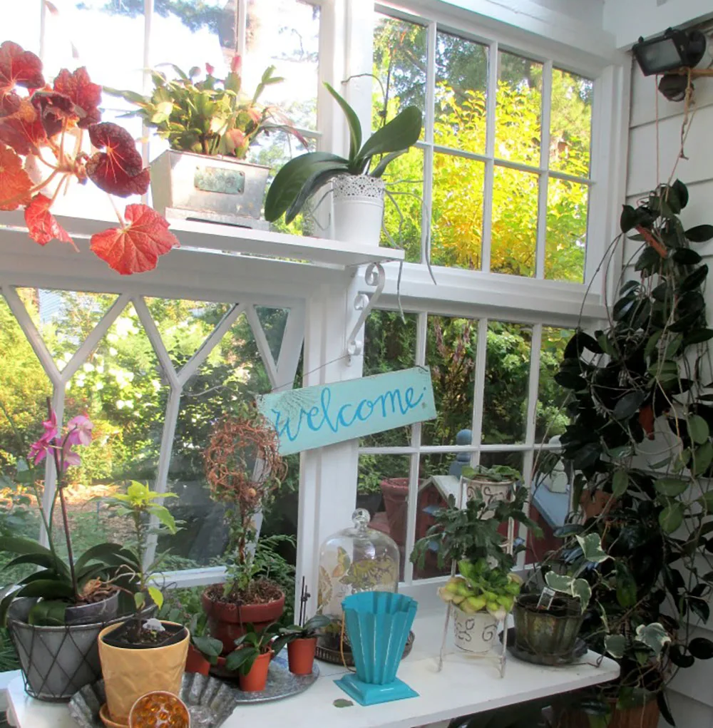 Greenhouse built from old windows