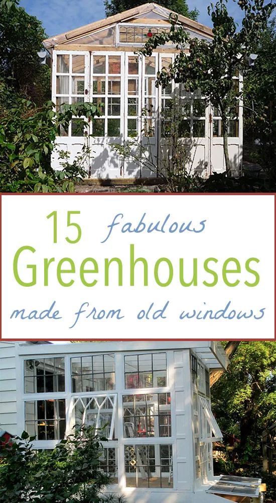 Greenhouse made from old windows