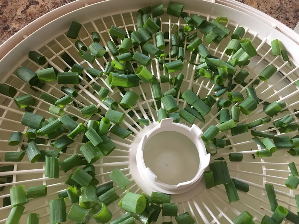 How to dry green onions