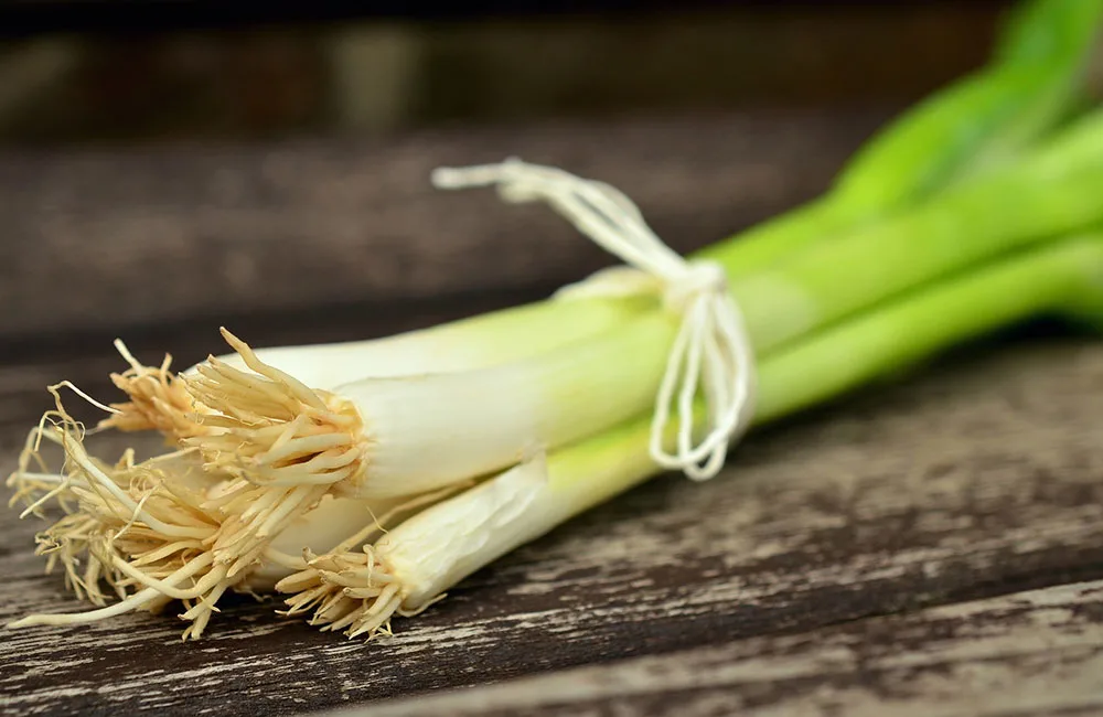 How to preserve green onions