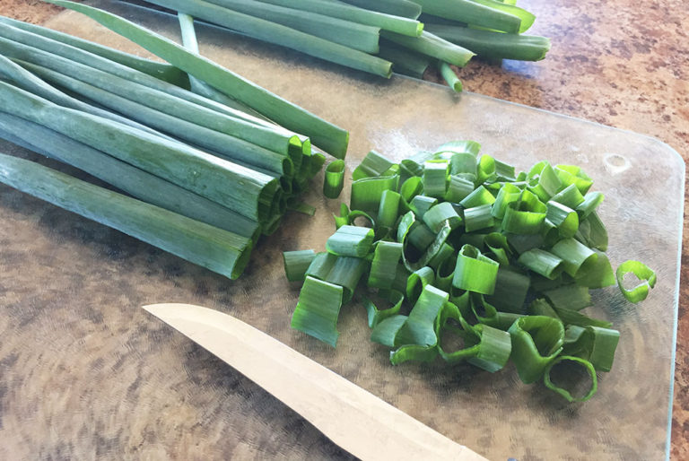 How To Harvest And Preserve Green Onions Off Grid World