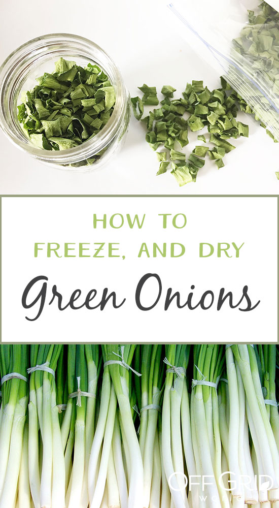 How to preserve green onions