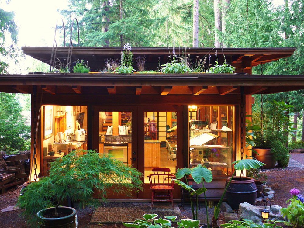 Cabin with living roof