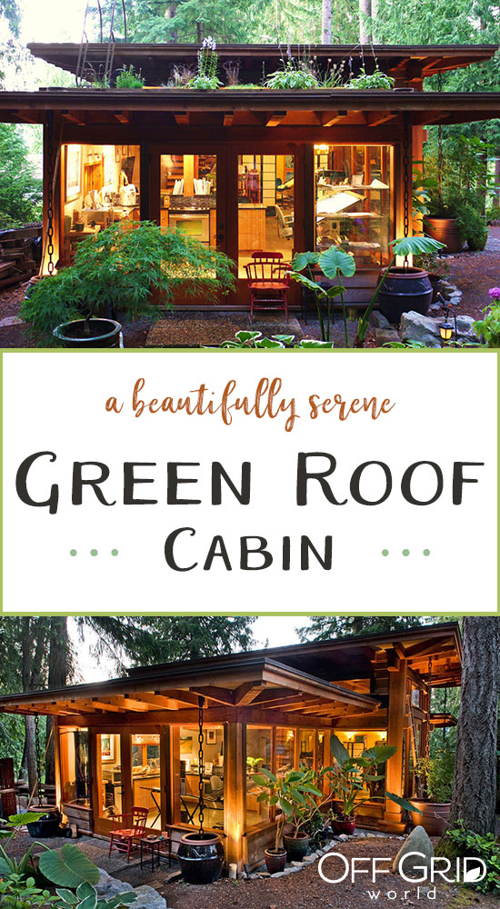 Cabin with living roof