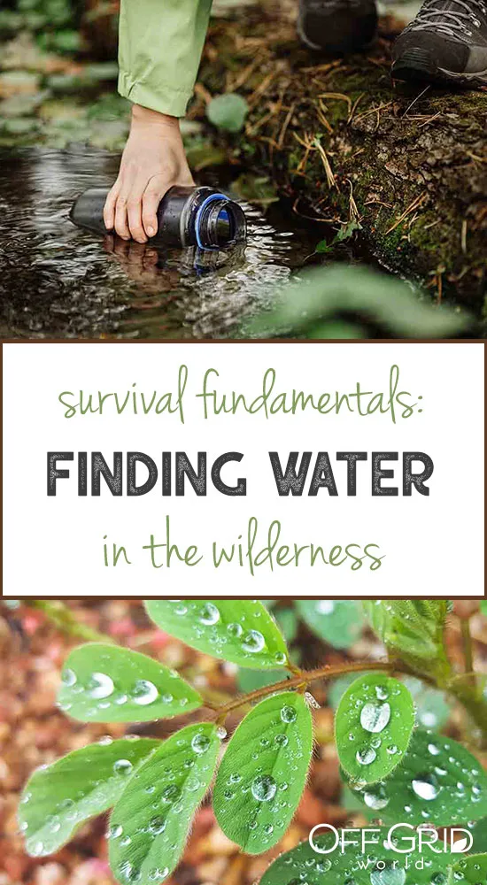 Finding water in the wilderness