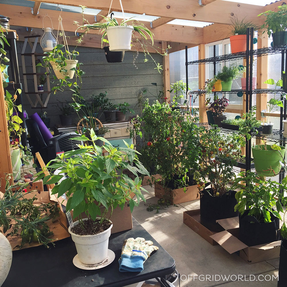 Beautiful, Green Houses: Of All Shades