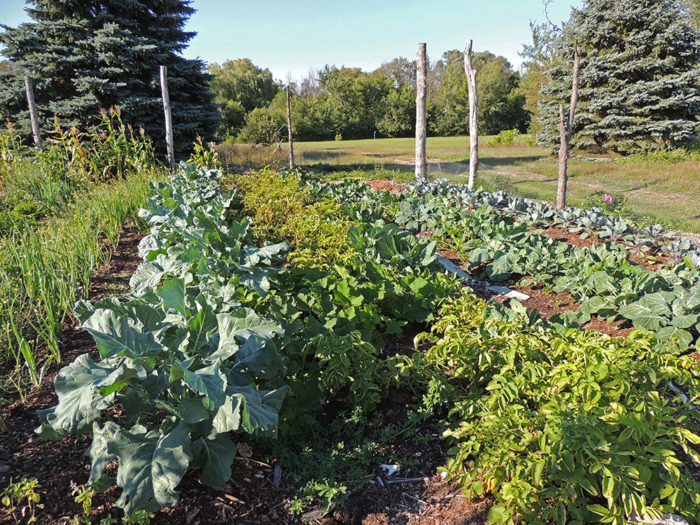 Growing food off grid