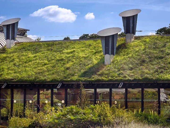 4 Best Reasons To Grow a Living Roof! Beautiful, Beneficial, Efficient, Green Living Rooftops
