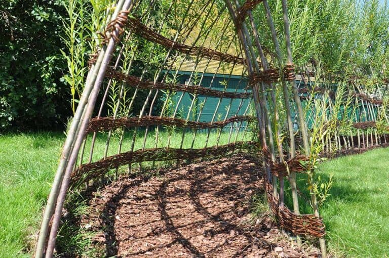 Living Willow Structures 15 Unique Project Ideas Off Grid World