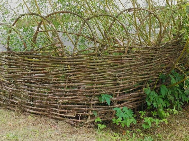 Living Willow Structures 15 Unique Project Ideas Off Grid World