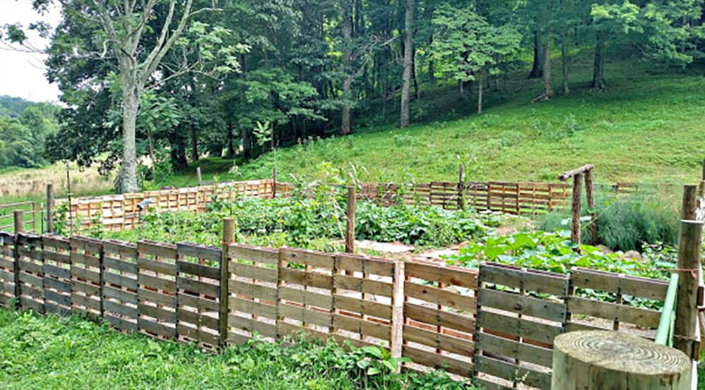 Pallet garden fence