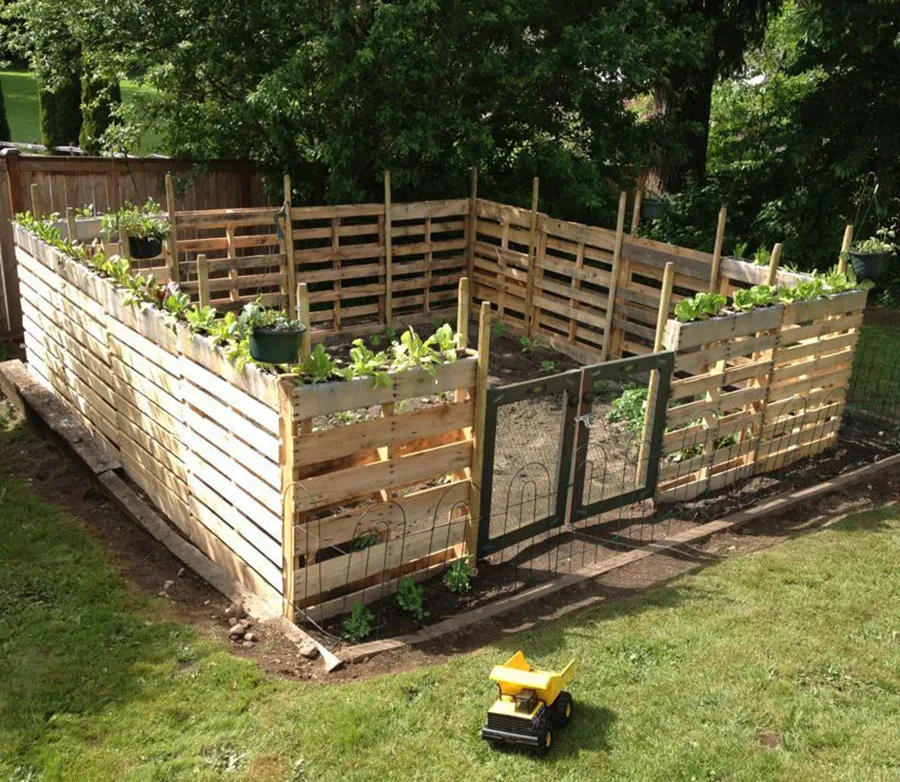 Pallet garden fence