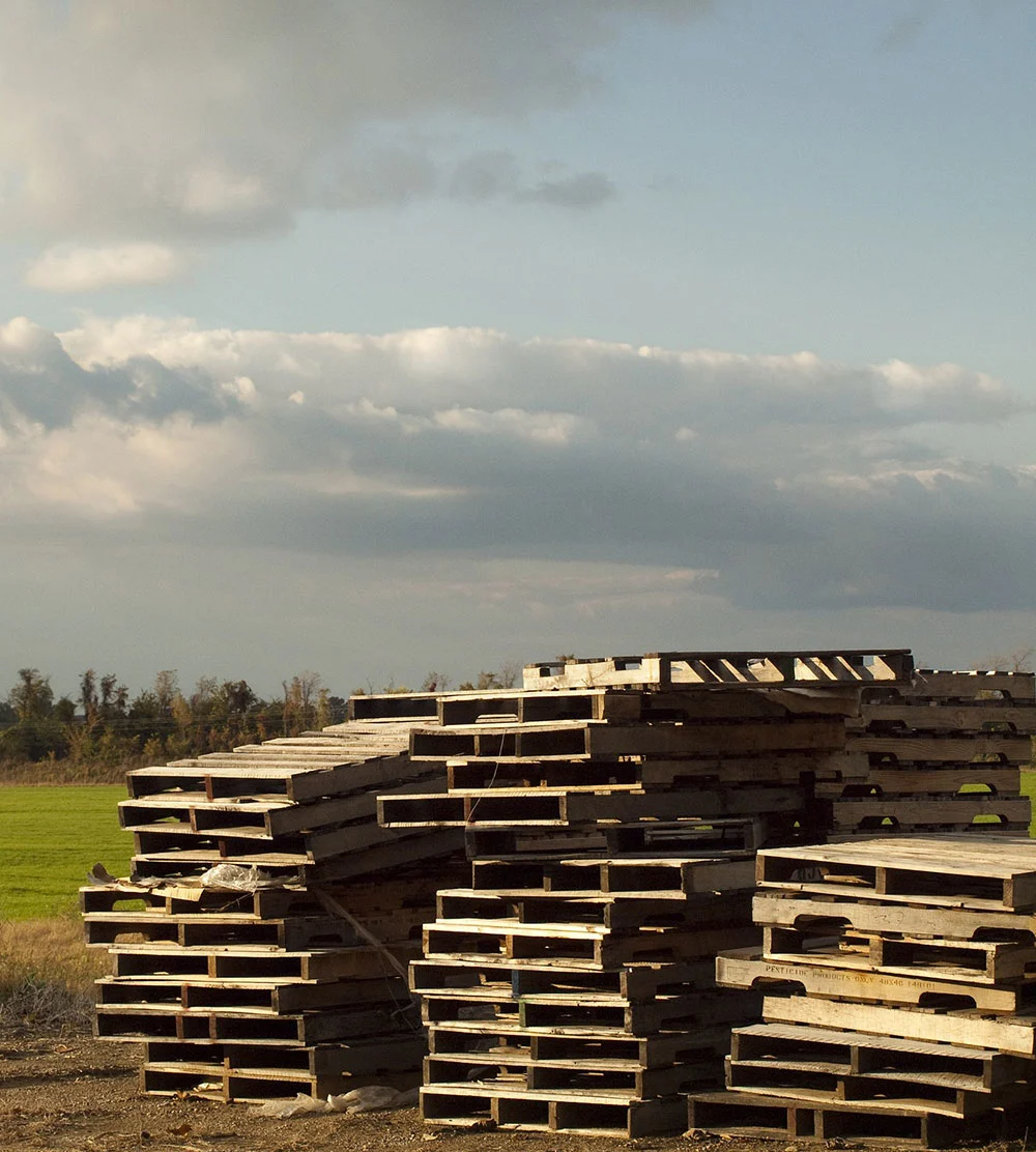 Wood shipping pallets