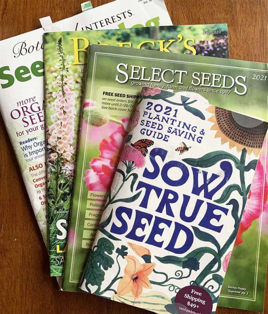 Seed Catalogs 2024 Andra Gabrila