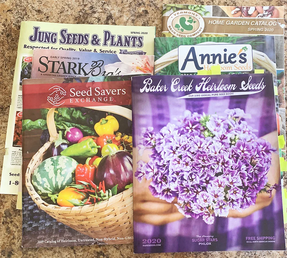Free seed catalogs
