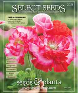 Select Seeds free seed catalog