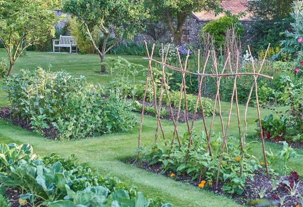 Victory Gardens The Antidote To Uncertainty Off Grid World