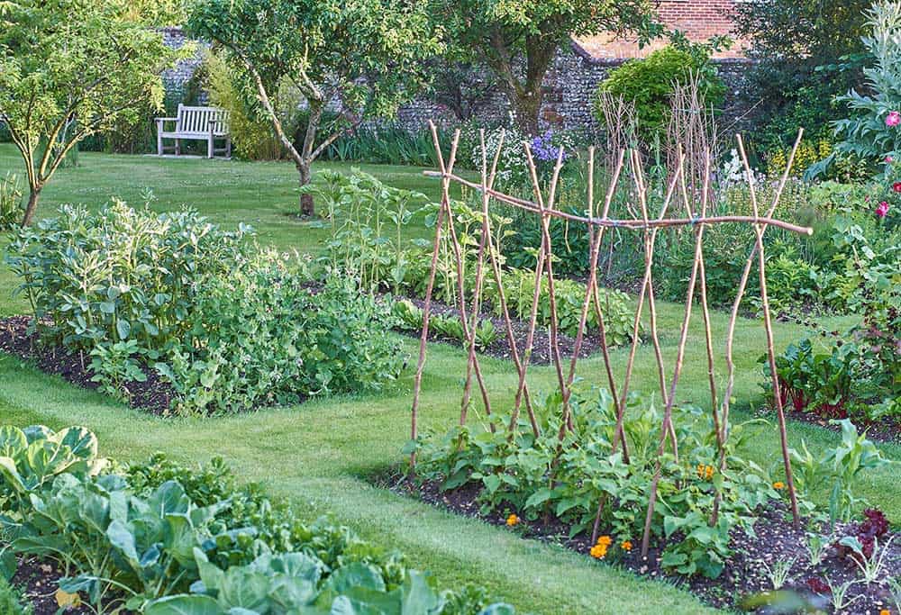 Grow a backyard garden
