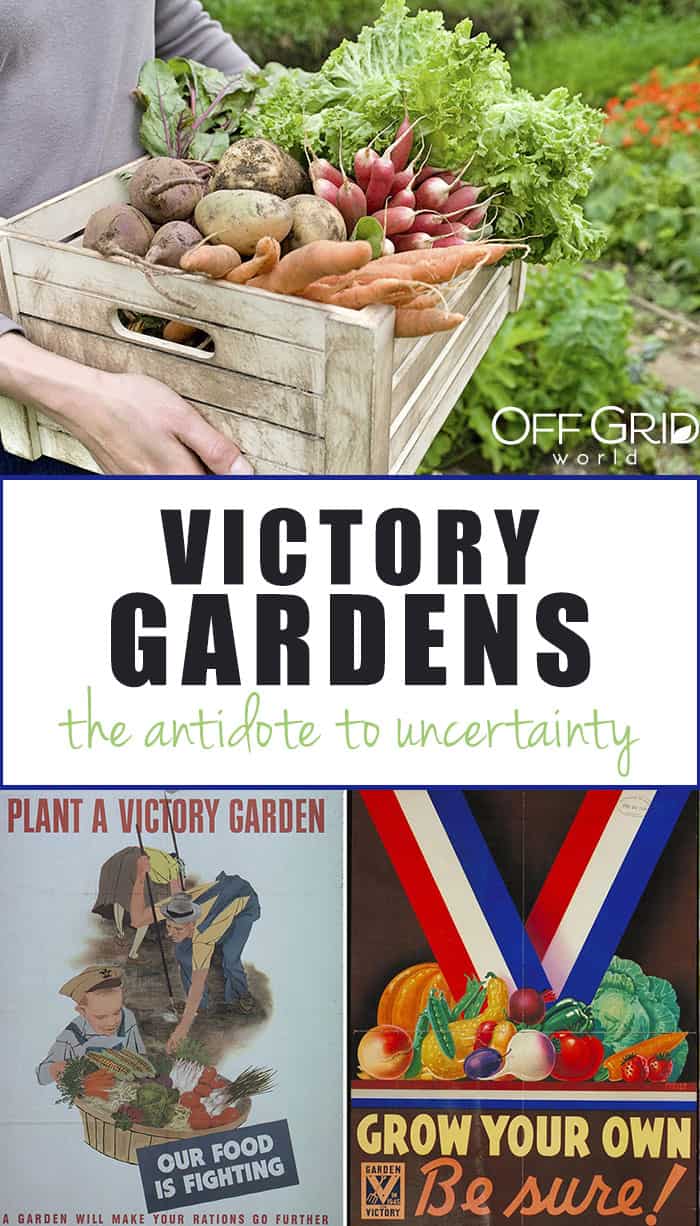 Victory Gardens: the Antidote to Uncertainty