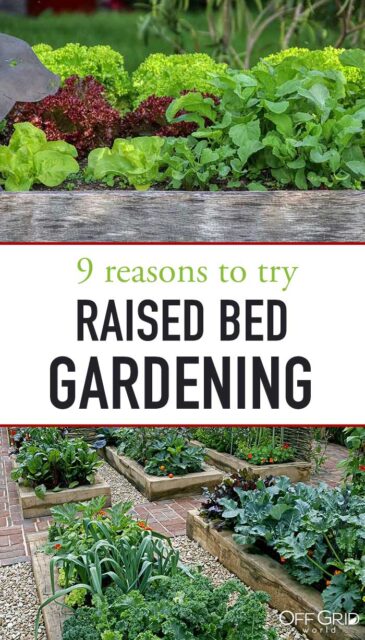 9 Great Reasons To Try Raised Bed Gardening - Off Grid World
