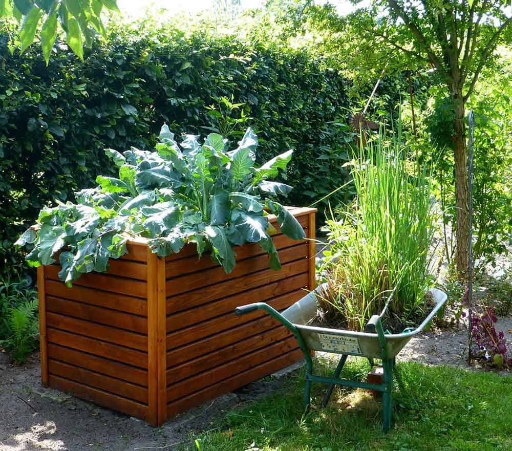 Types of raised beds