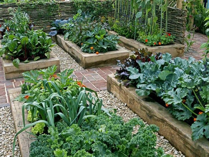 Wood raised garden beds