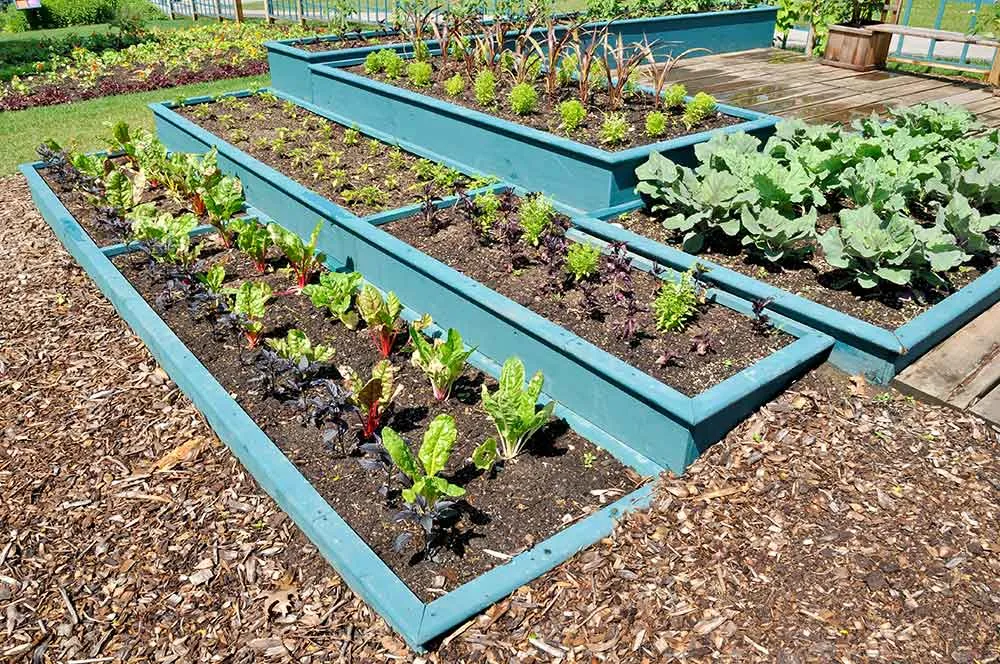 https://offgridworld.com/wp-content/uploads/2021/02/raised-bed-gardening-5.jpg.webp