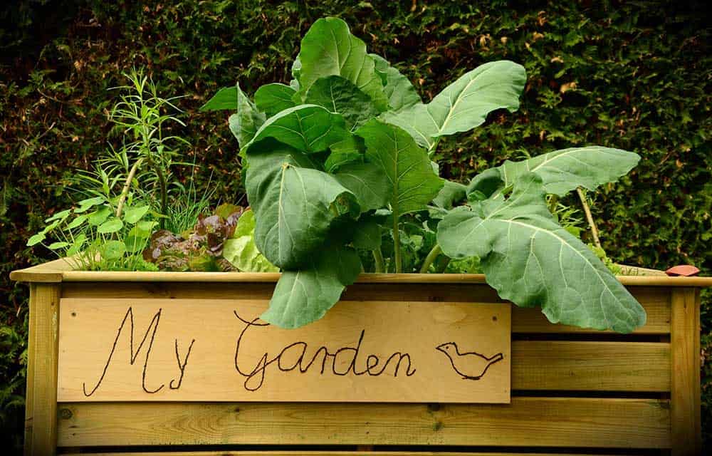 Garden bed for kids