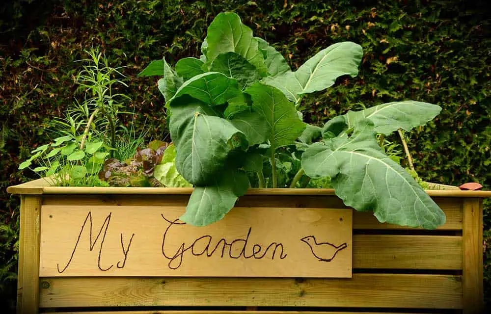 10 Benefits of Raised Bed Gardening - Off Grid World