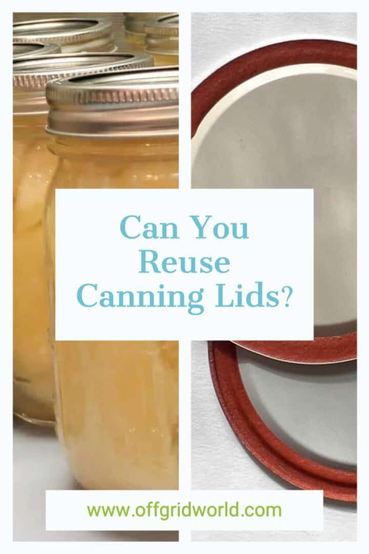 Can You Reuse Canning Lids? What You Need To Know Off Grid World