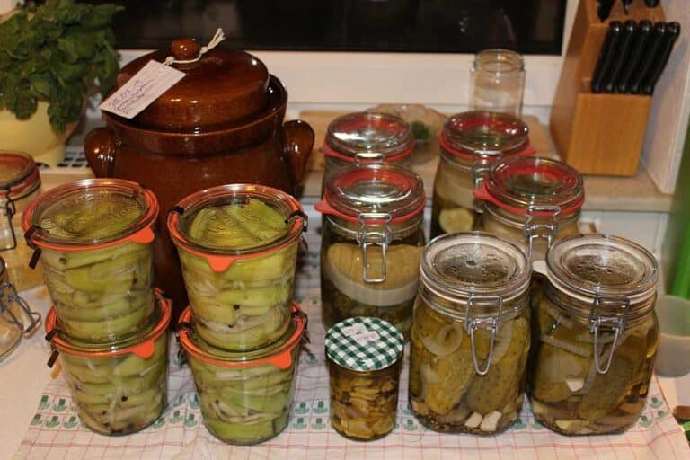 Can You Reuse Canning Lids? What You Need To Know Off Grid World