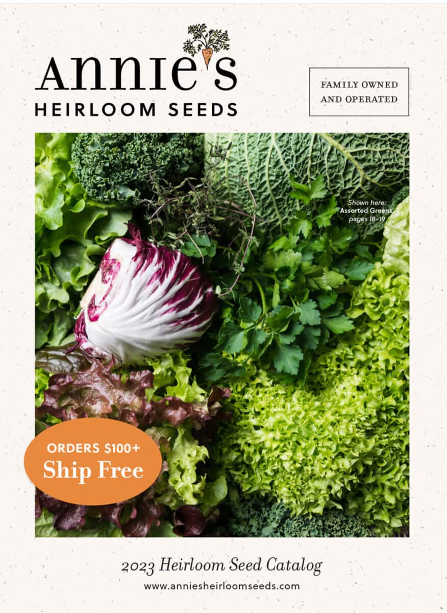 40 Free Seed Catalogs for 2024 Off Grid World