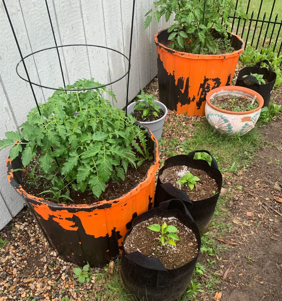 Easiest DIY 5-Gallon Bucket Compost Bin (plus Vegetable Planter) 