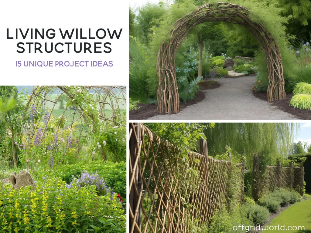 living willow project ideas