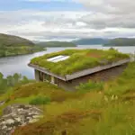 living roof on a cabin