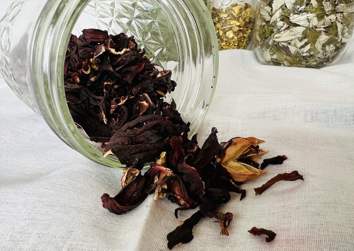 The Ultimate List of 29+ Best Herbs for Tea (& What They Taste Like