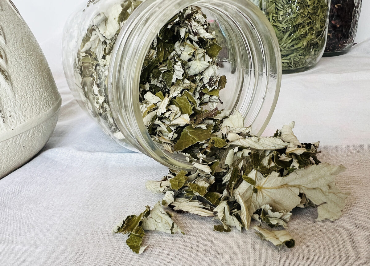 The Ultimate List of 29+ Best Herbs for Tea (& What They Taste Like